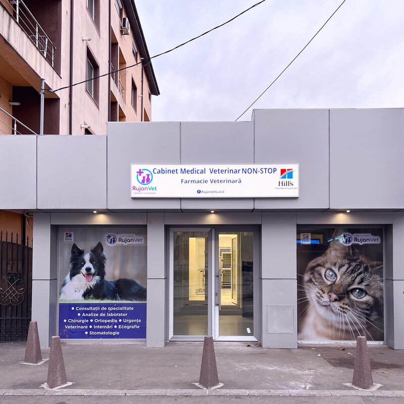 Cabinet Veterinar Sector 4 Bucuresti - RujanVet