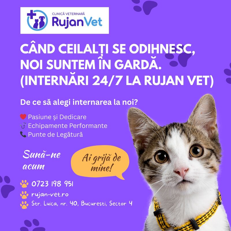 Cabinet Veterinar Sector 4 Bucuresti - RujanVet