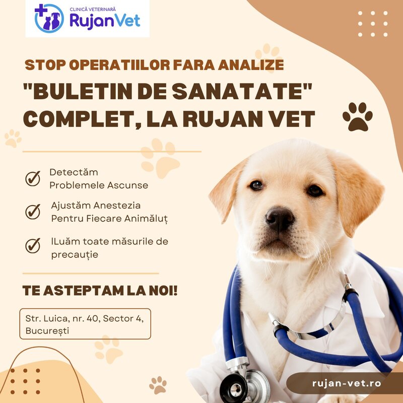 Cabinet Veterinar Sector 4 Bucuresti - RujanVet