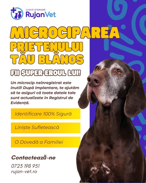 Cabinet Veterinar Sector 4 Bucuresti - RujanVet