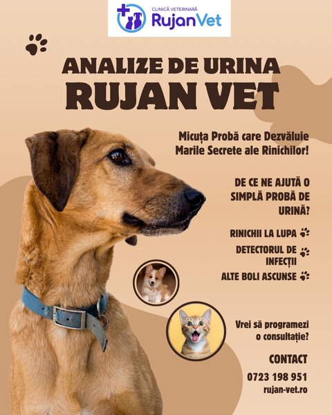 Cabinet Veterinar Sector 4 Bucuresti - RujanVet