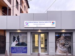 Cabinet Veterinar Sector 4 Bucuresti - RujanVet