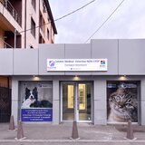 Cabinet Veterinar Sector 4 Bucuresti - RujanVet