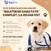 Cabinet Veterinar Sector 4 Bucuresti - RujanVet