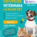 Cabinet Veterinar Sector 4 Bucuresti - RujanVet