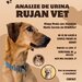 Cabinet Veterinar Sector 4 Bucuresti - RujanVet